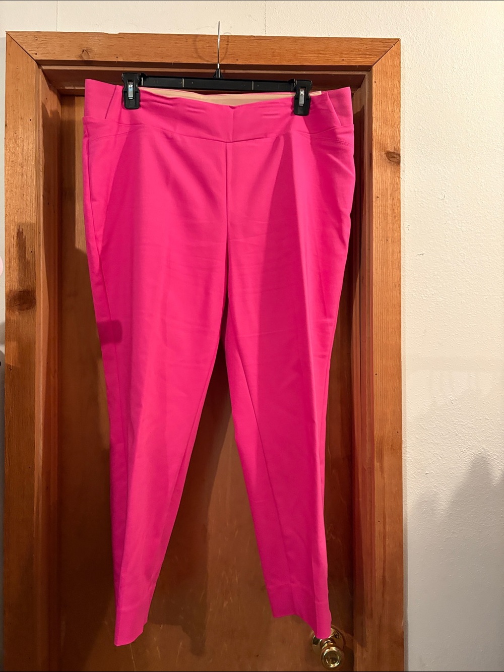 Investments Vibrant Pink Ponte Ankle Pants
